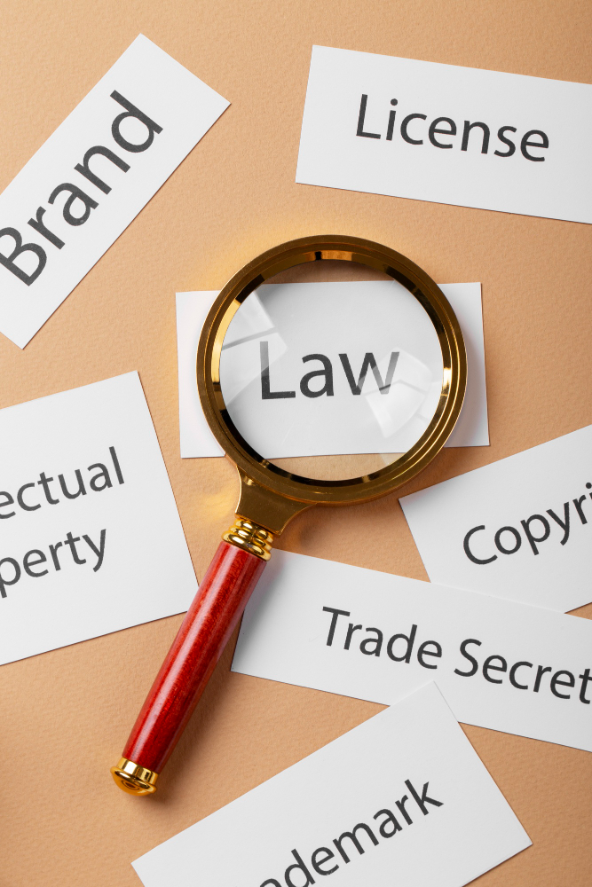 Logo Trademark & IPR Registration