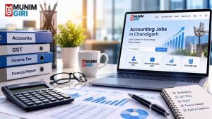 bestaccountantinchandigar